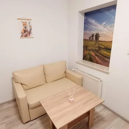Apartment Przytulny Kat *